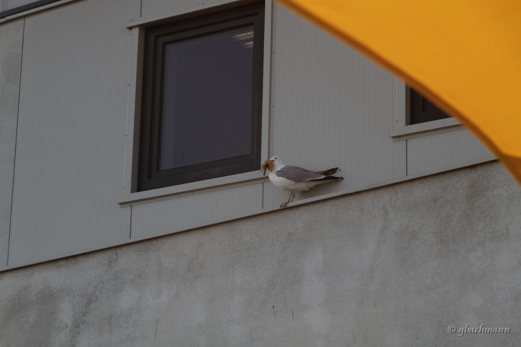 20140731_022